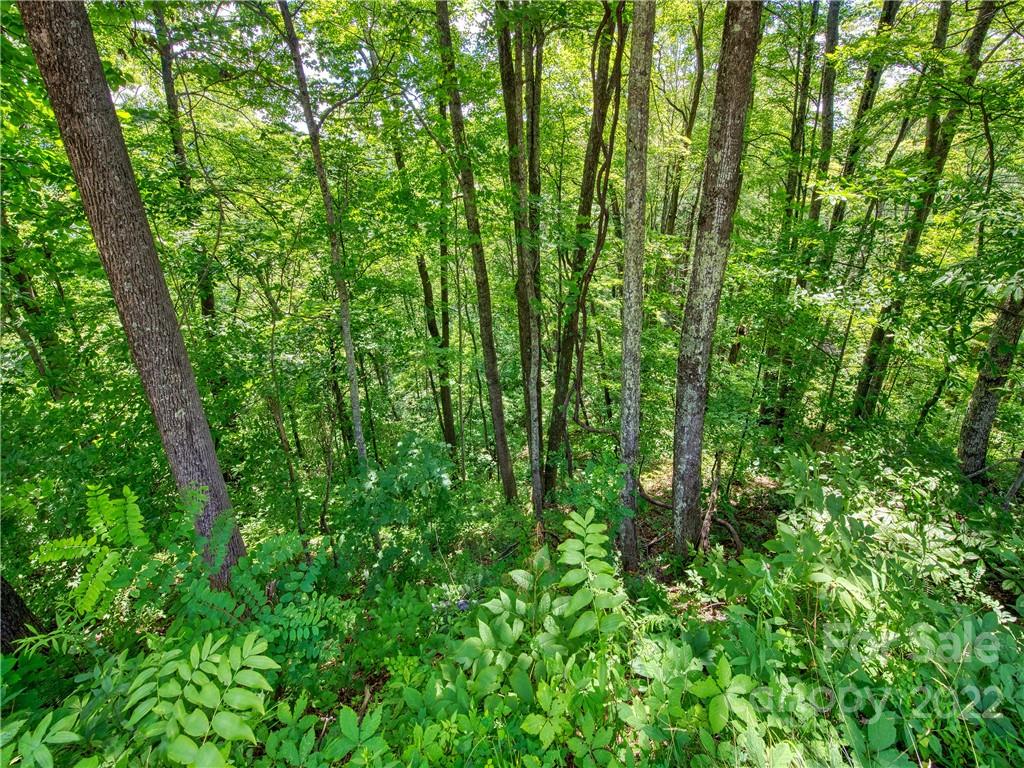 00 Reo Drive Property Photo 17