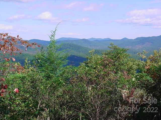 Lot 361 Hickory Nut Lane Property Photo 1