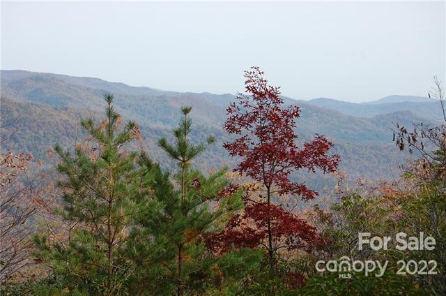 Lot 361 Hickory Nut Lane Property Photo 4