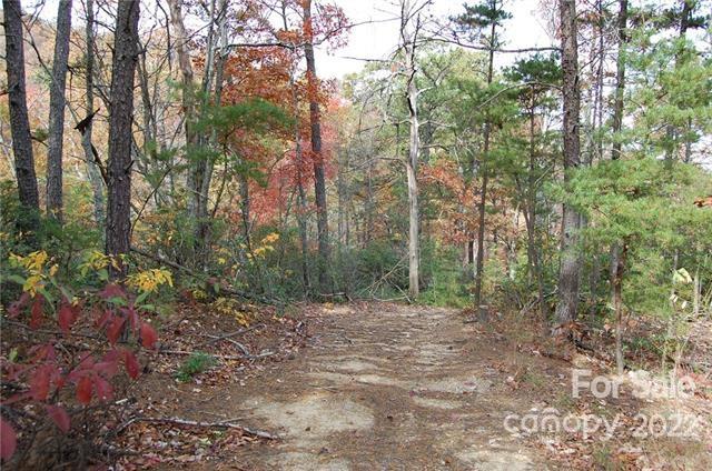Lot 361 Hickory Nut Lane Property Photo 6