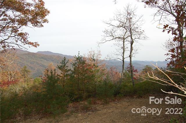 Lot 361 Hickory Nut Lane Property Photo 8