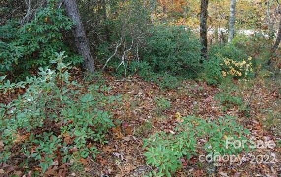 Lot 361 Hickory Nut Lane Property Photo 10