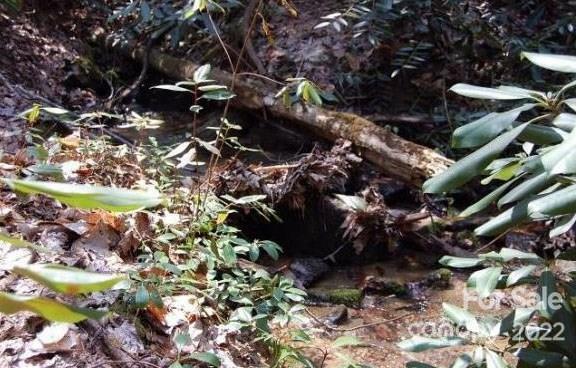 Lot 361 Hickory Nut Lane Property Photo 11