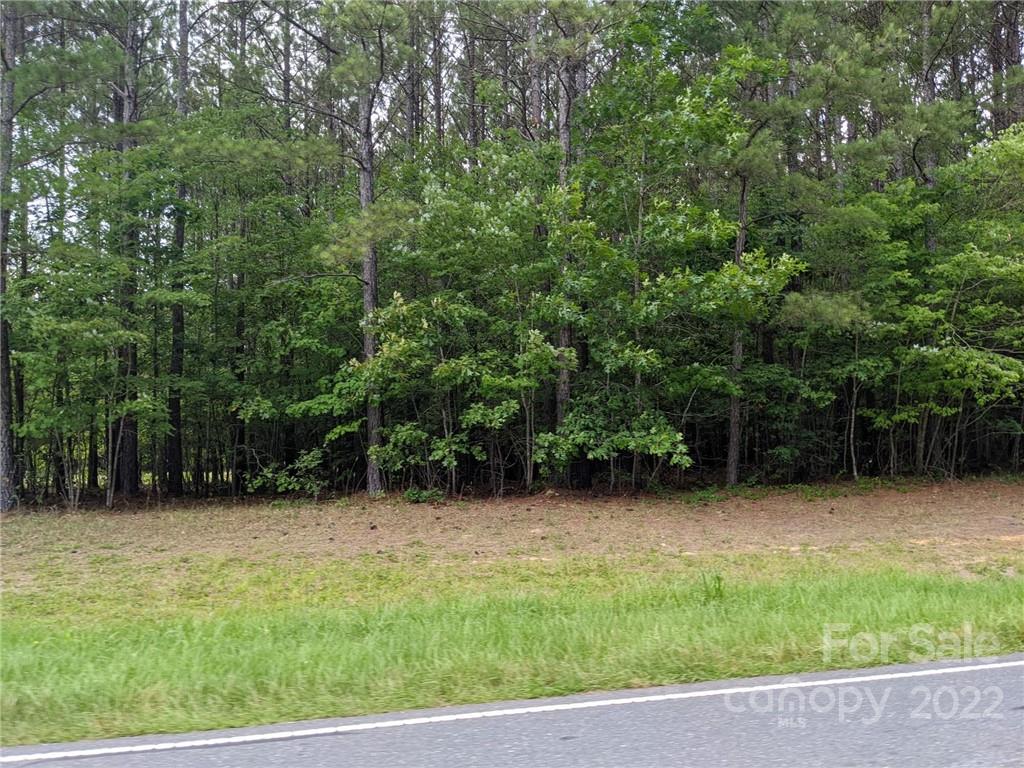 129 Plantation Way 78 Property Photo 15