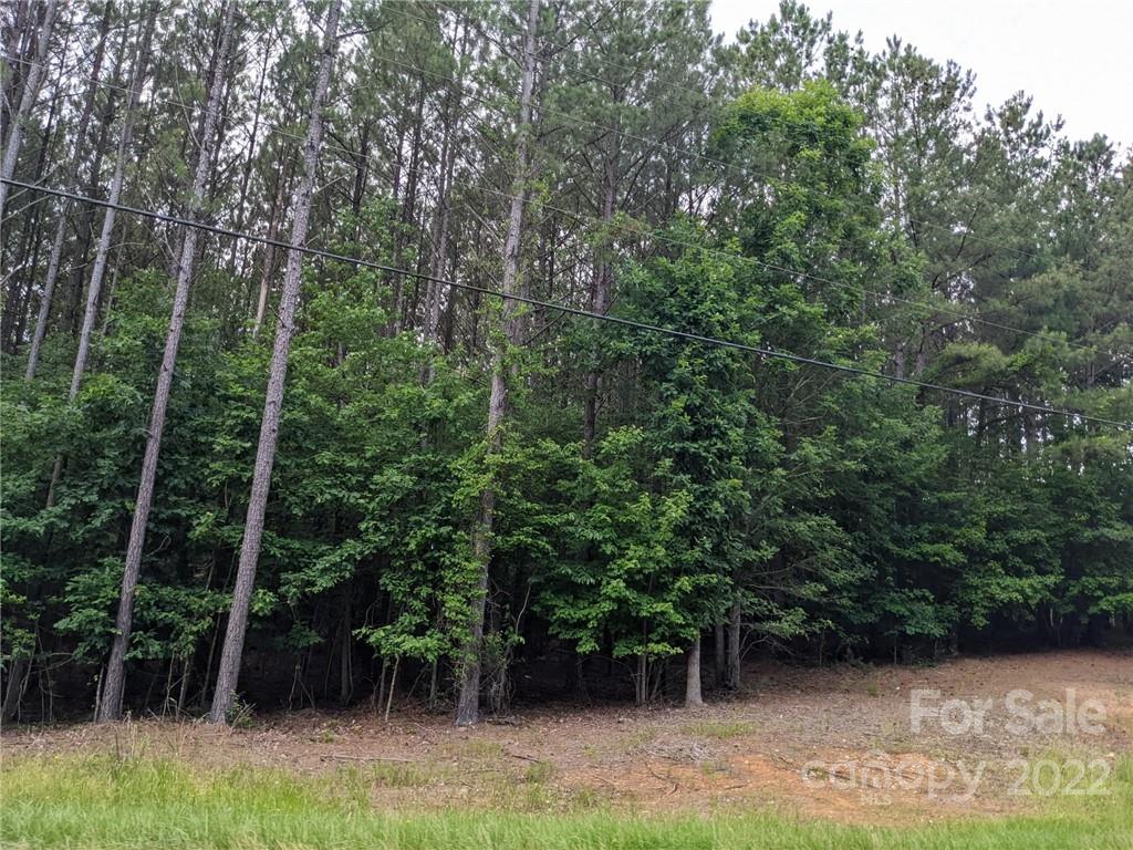 129 Plantation Way 78 Property Photo 17