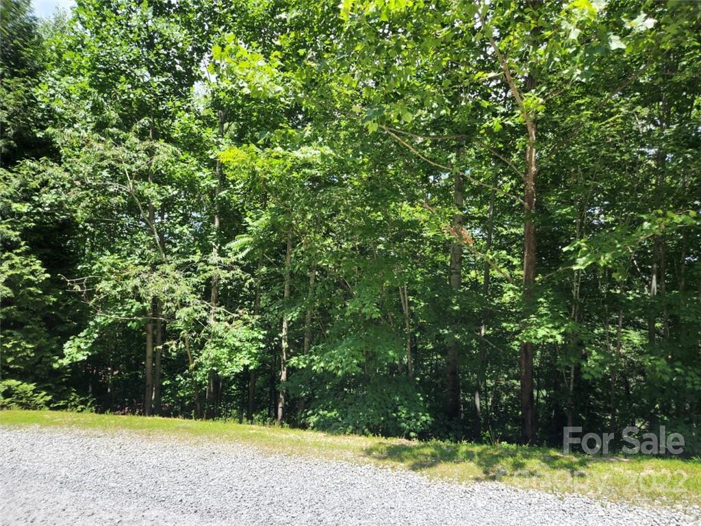 00 Summit Landing Drive 3 Property Photo 6