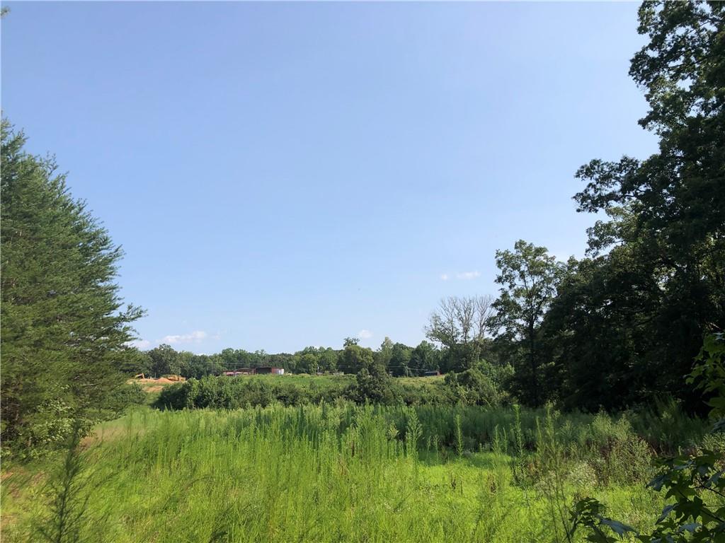 00 Lake Sylvia Road Property Photo 2