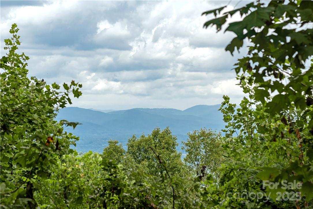 103 Berry Creek Drive 22 Property Photo 4