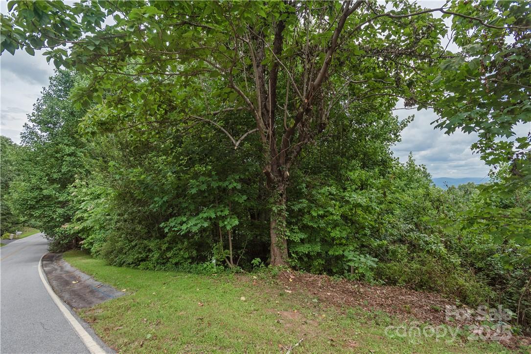 103 Berry Creek Drive 22 Property Photo 5