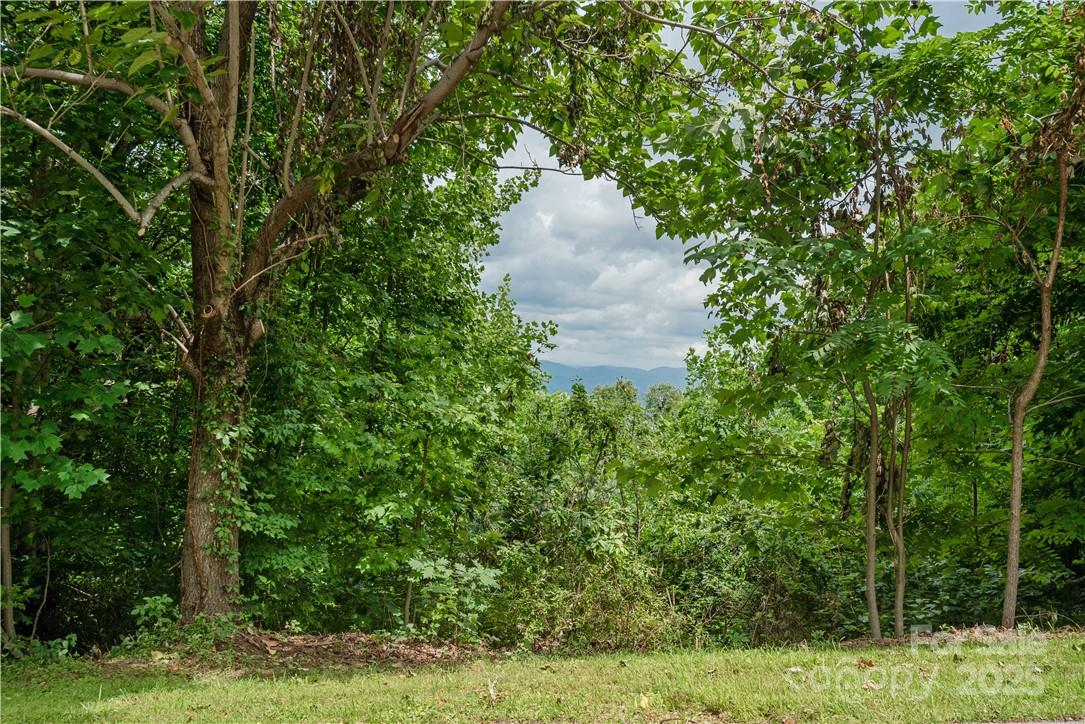 103 Berry Creek Drive 22 Property Photo 7