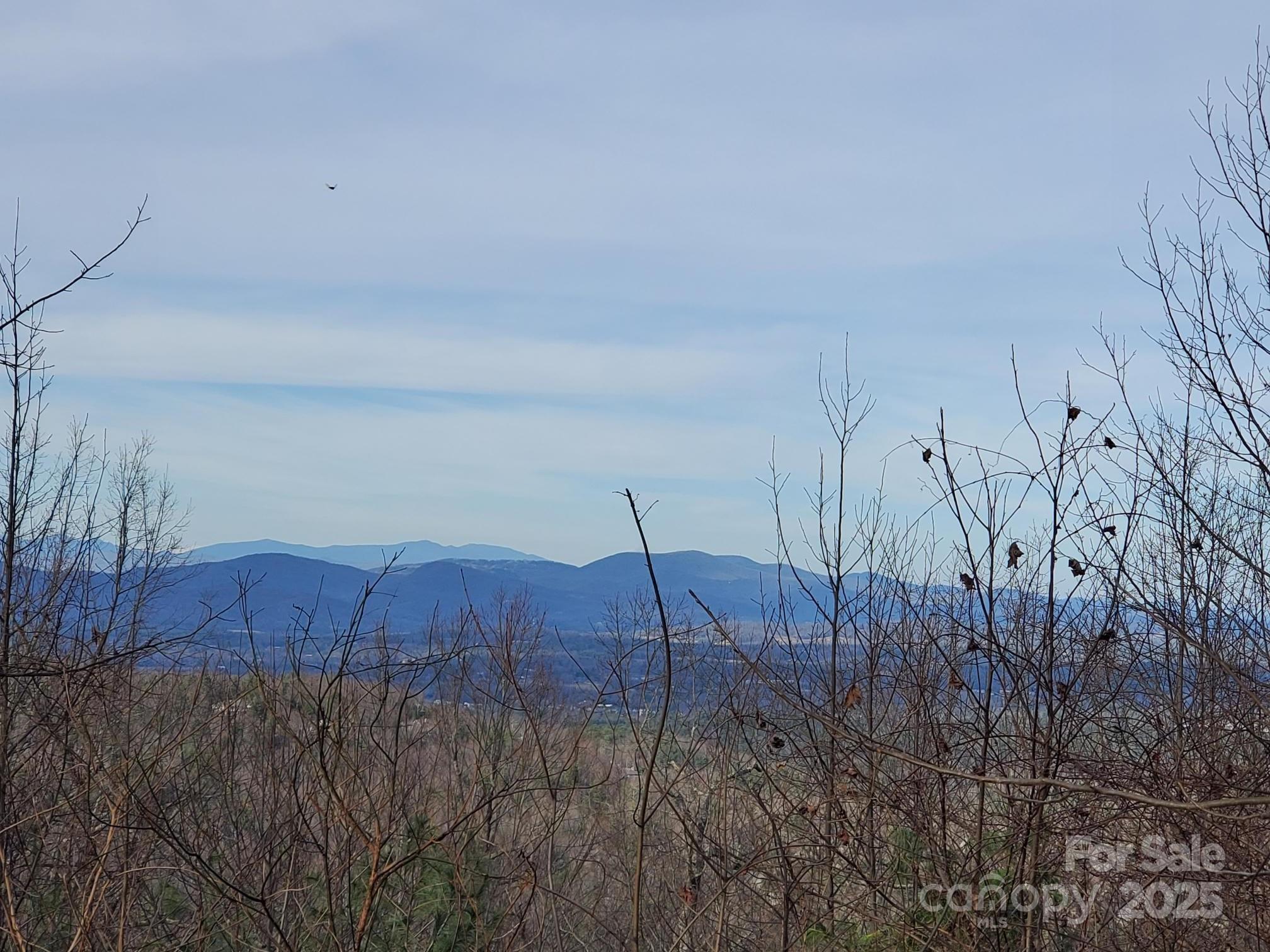 103 Berry Creek Drive 22 Property Photo 24