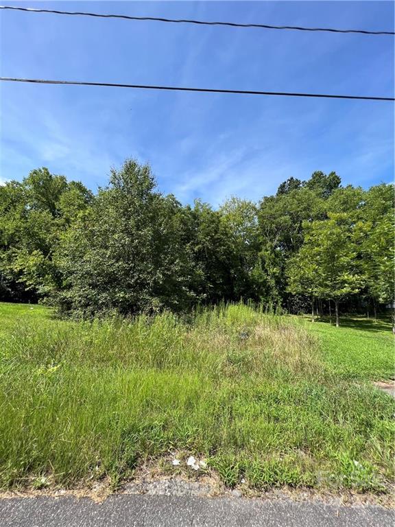 408 Frank Street Property Photo 1