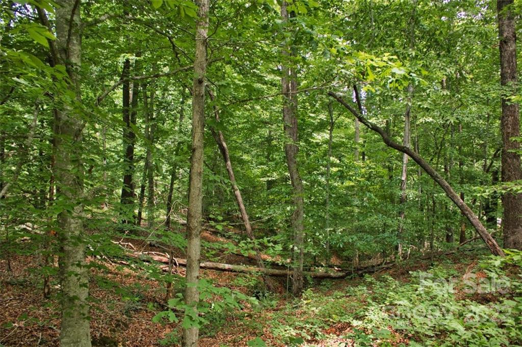 0 Midnight Pass 337 Property Photo 2