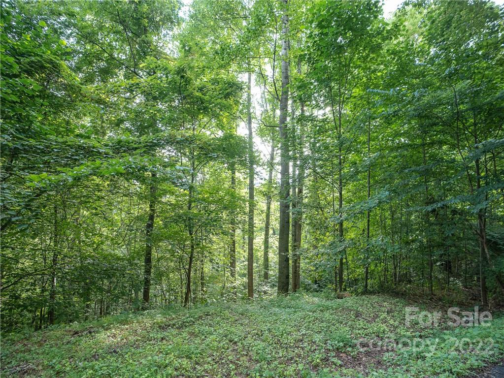 00 Ironwood Lane 12 Property Photo 1