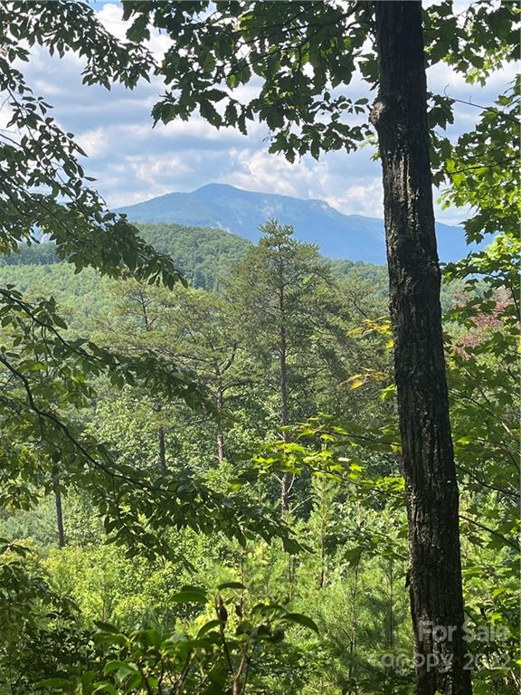 Lot 162 High Pines Loop Property Photo 1
