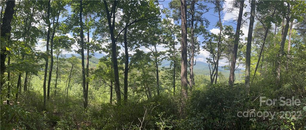Lot 162 High Pines Loop Property Photo 2