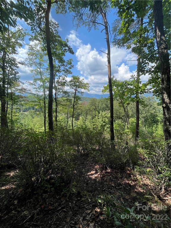 Lot 162 High Pines Loop Property Photo 3