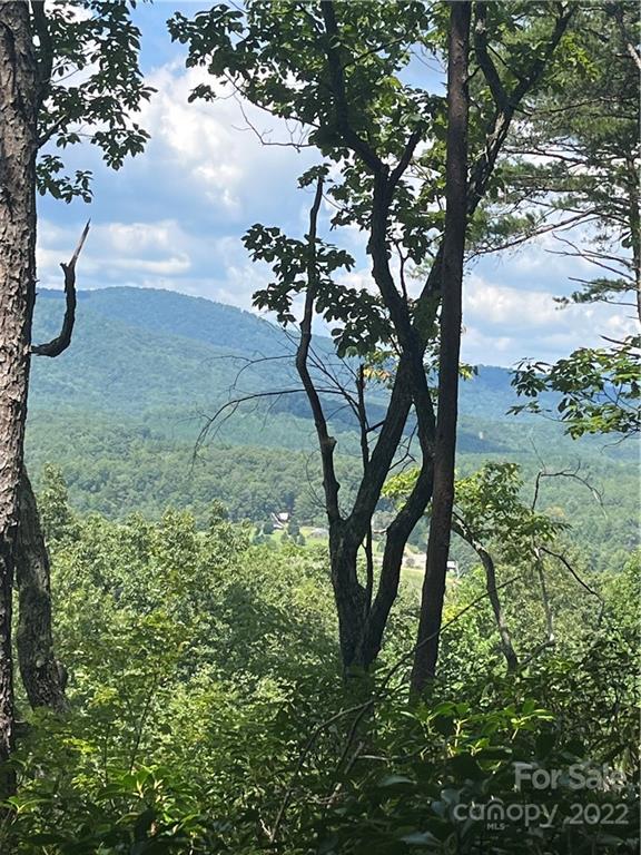 Lot 162 High Pines Loop Property Photo 4