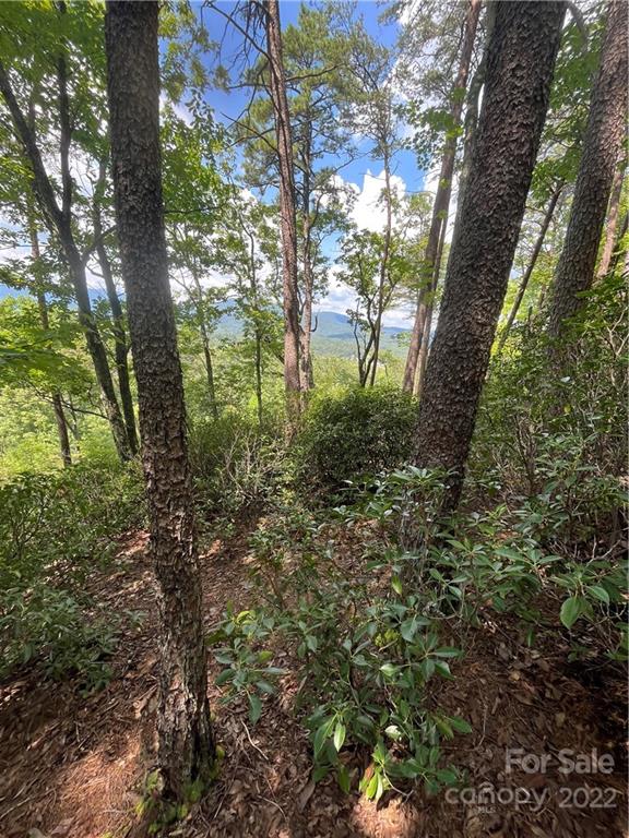 Lot 162 High Pines Loop Property Photo 5