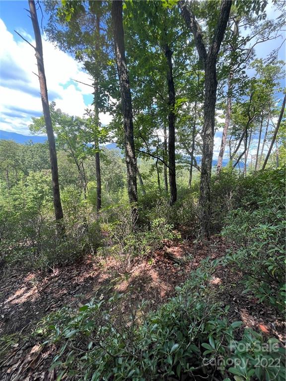 Lot 162 High Pines Loop Property Photo 6