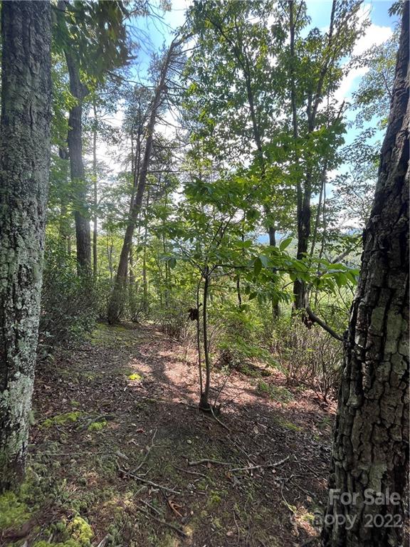 Lot 162 High Pines Loop Property Photo 7