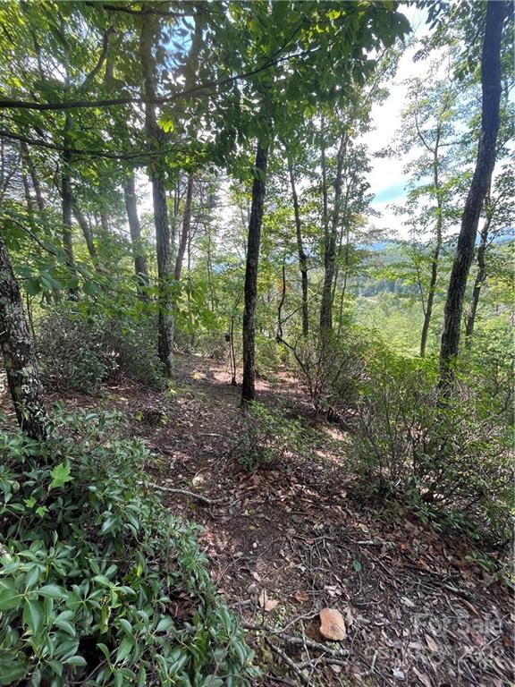 Lot 162 High Pines Loop Property Photo 8
