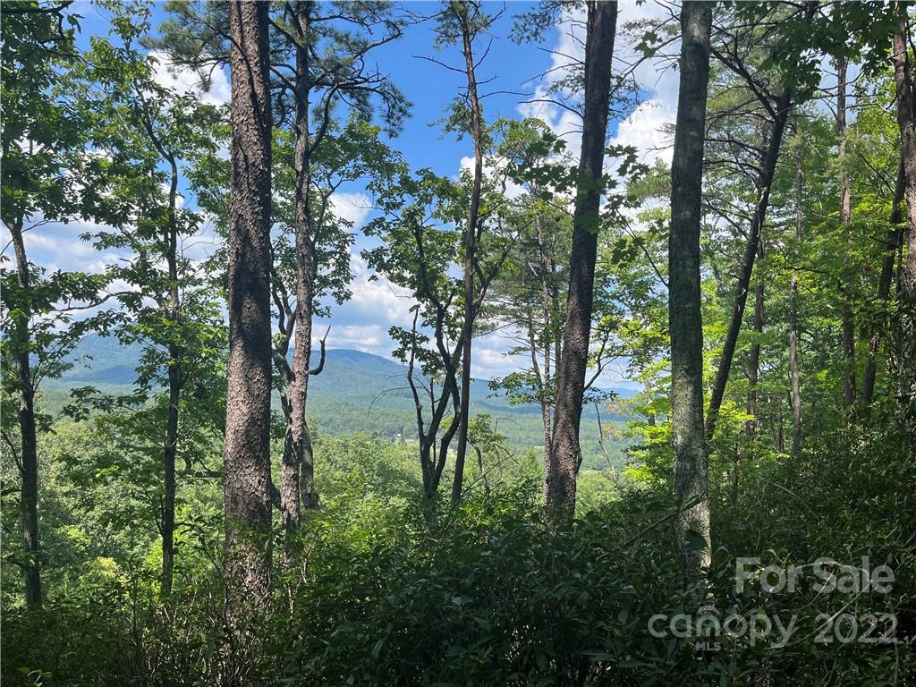 Lot 162 High Pines Loop Property Photo 9