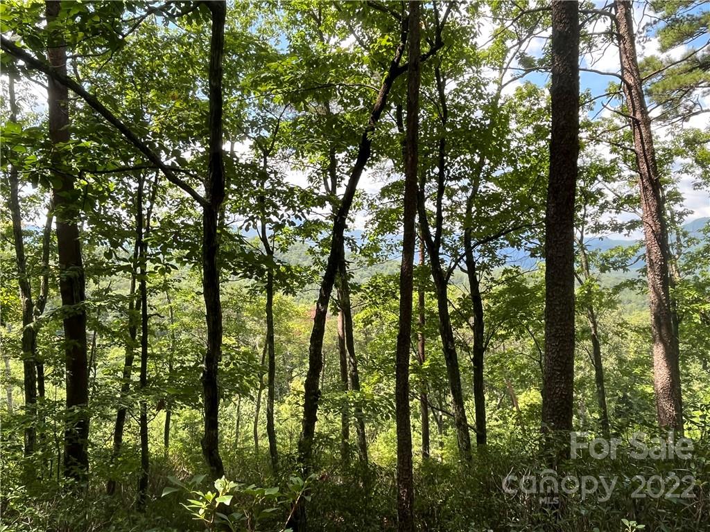 Lot 162 High Pines Loop Property Photo 10
