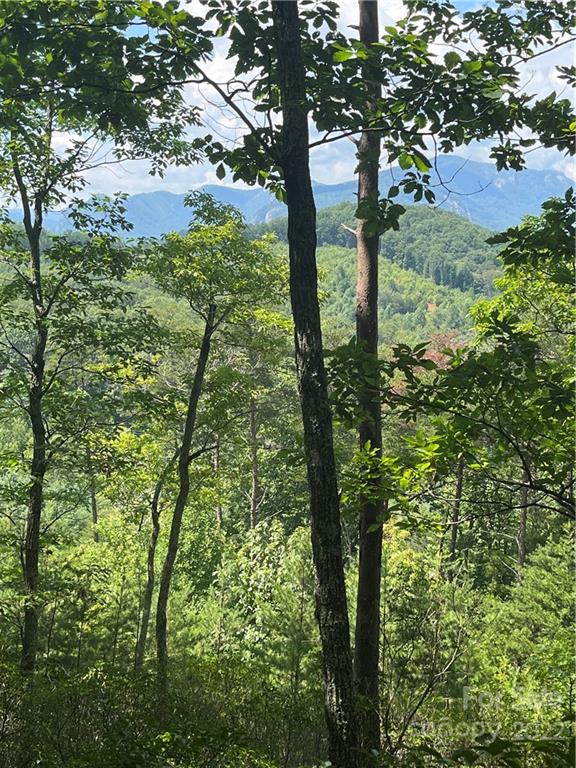 Lot 162 High Pines Loop Property Photo 11