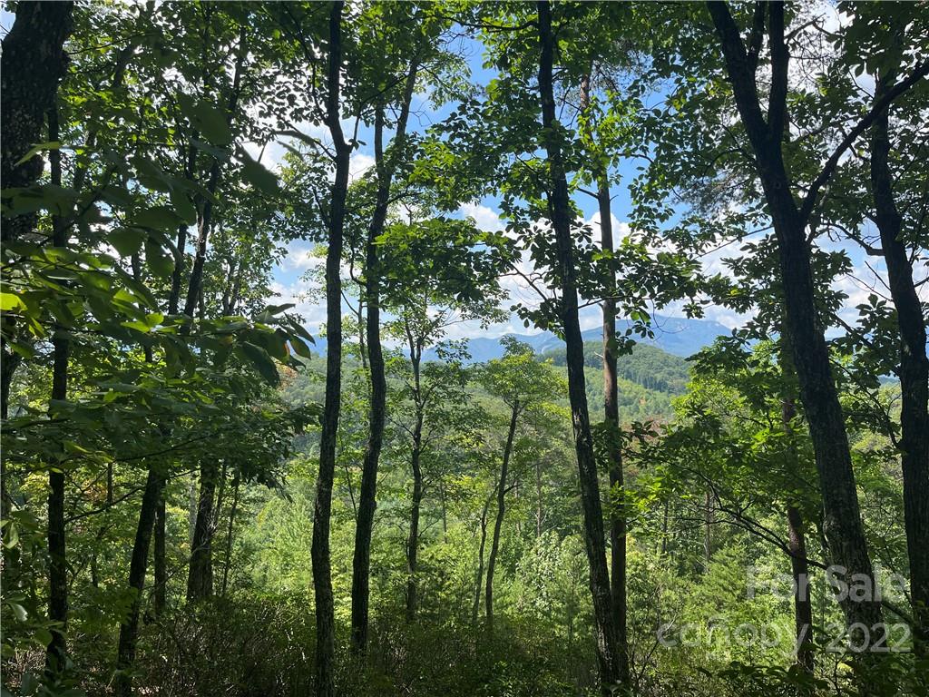 Lot 162 High Pines Loop Property Photo 12