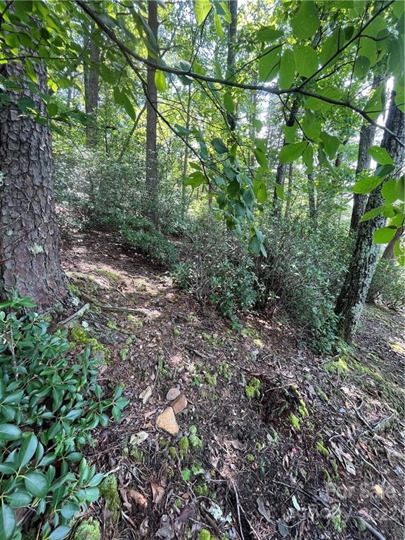 Lot 162 High Pines Loop Property Photo 13