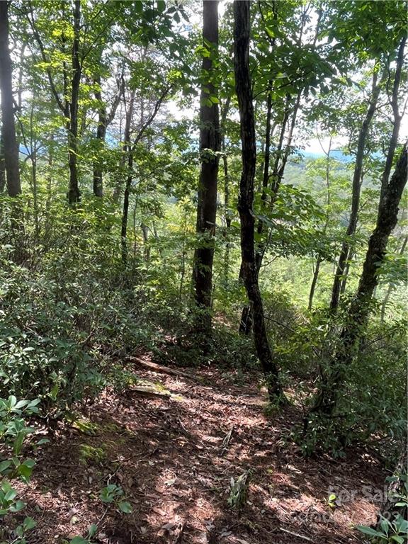 Lot 162 High Pines Loop Property Photo 14