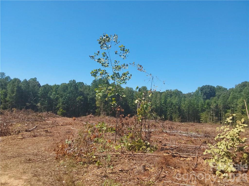 00 Requa Road Property Photo 14