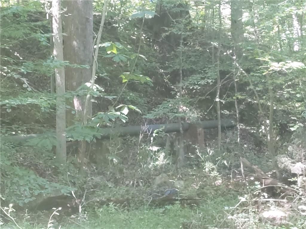 00 Requa Road Property Photo 17