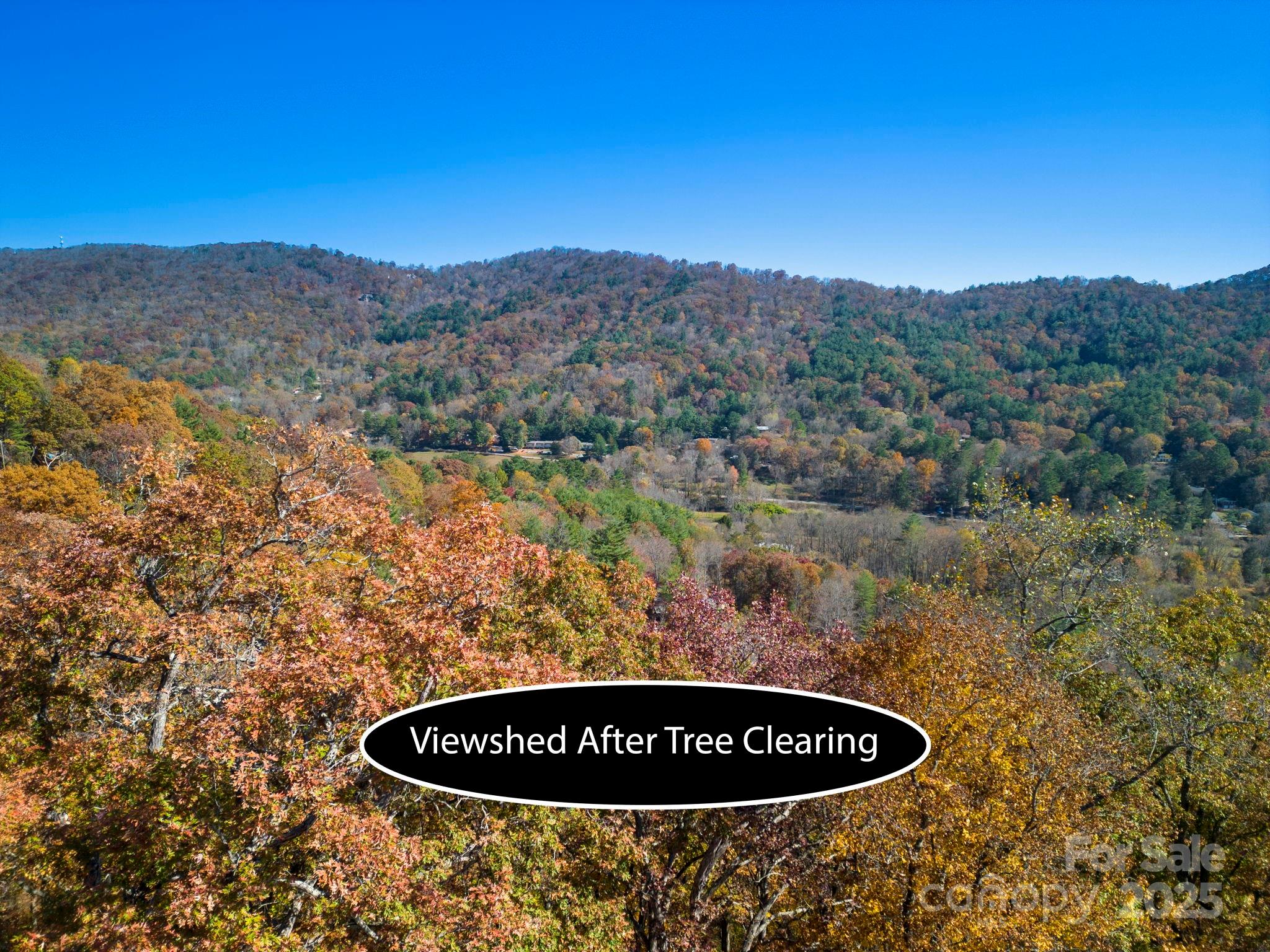 000 Vance Gap Road Property Photo 12