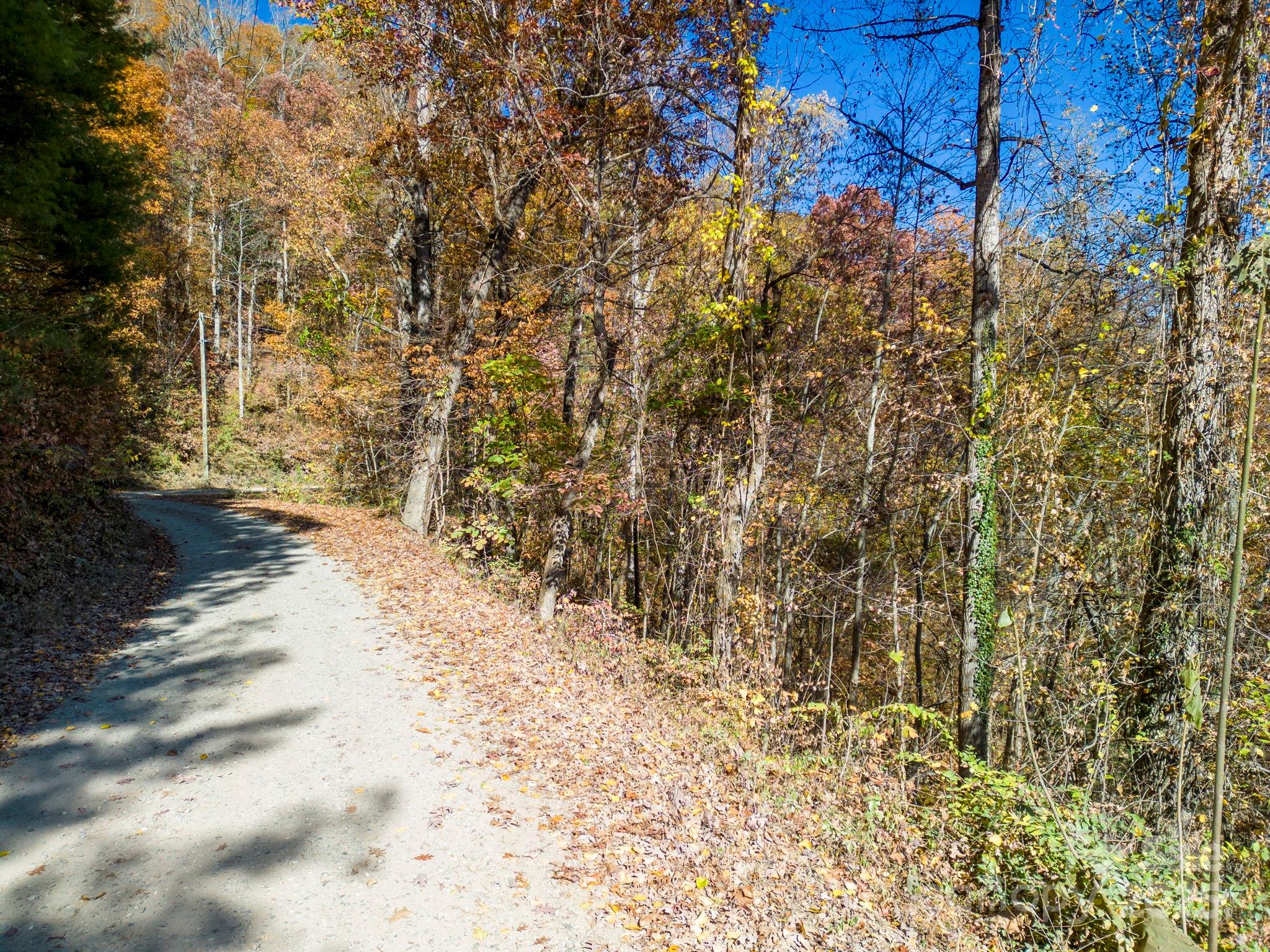 000 Vance Gap Road Property Photo 13