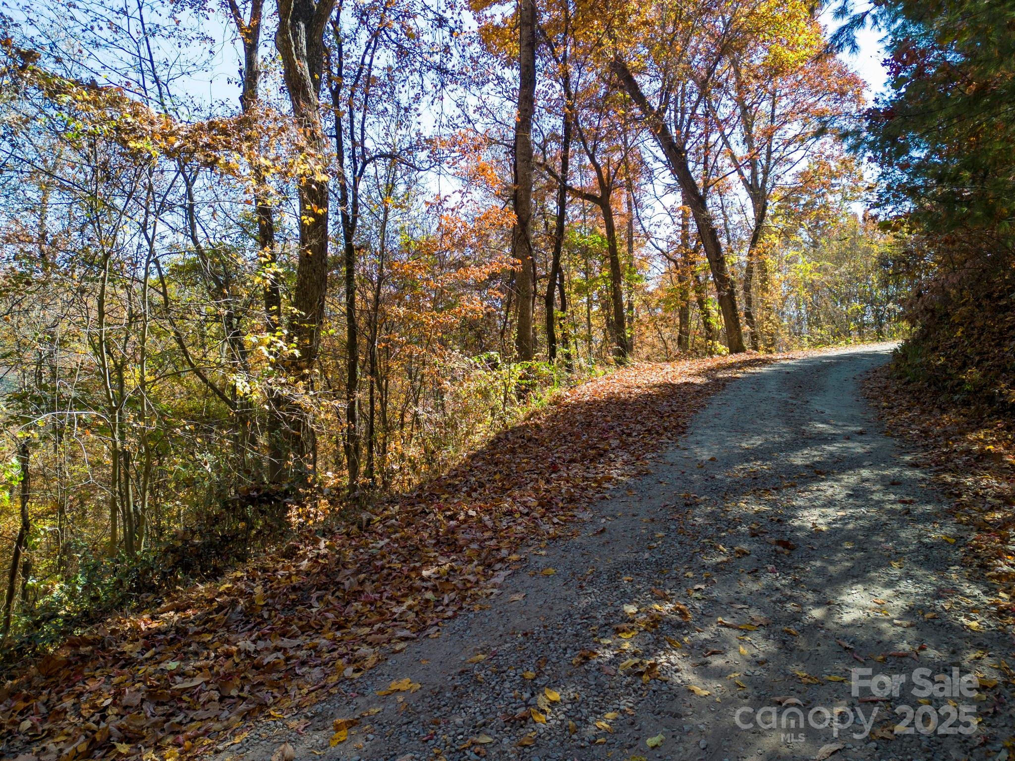 000 Vance Gap Road Property Photo 14