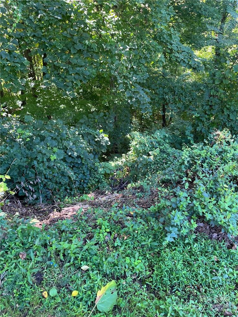 000 Vance Gap Road Property Photo 15
