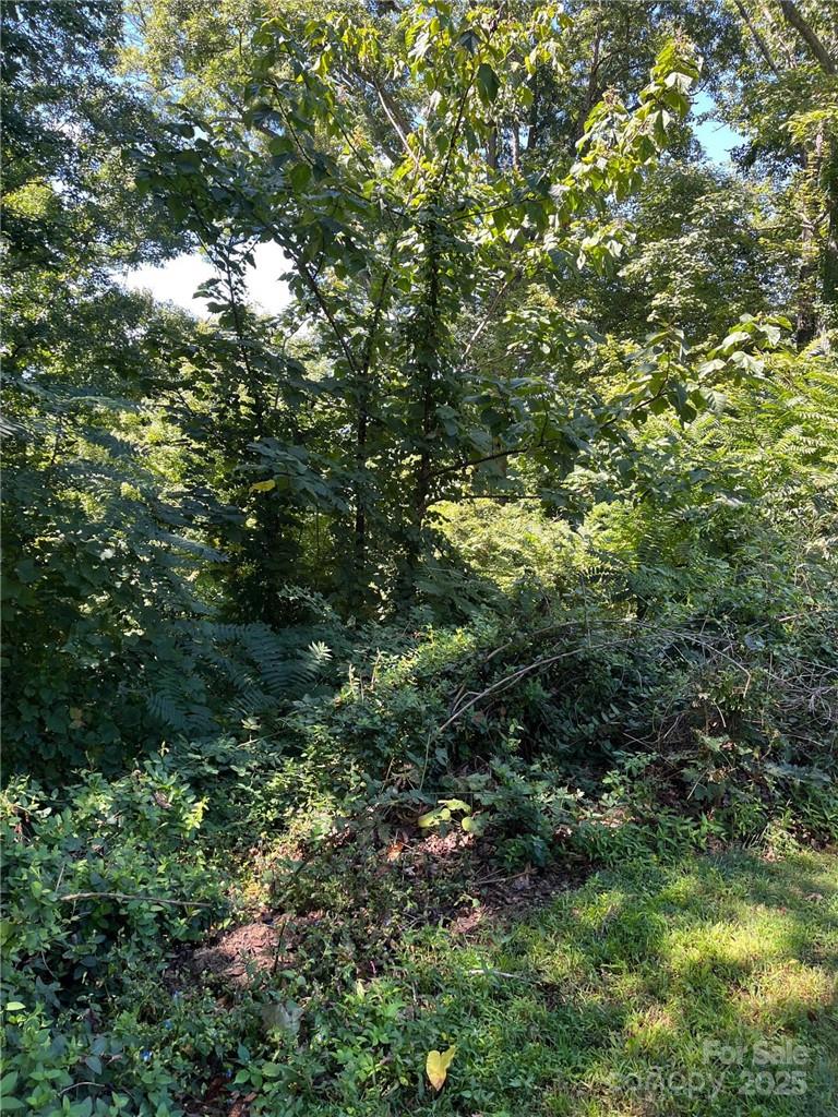 000 Vance Gap Road Property Photo 16