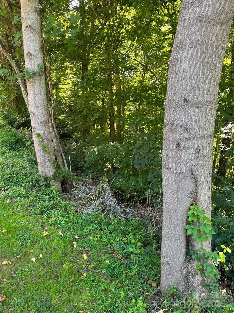 000 Vance Gap Road Property Photo 17