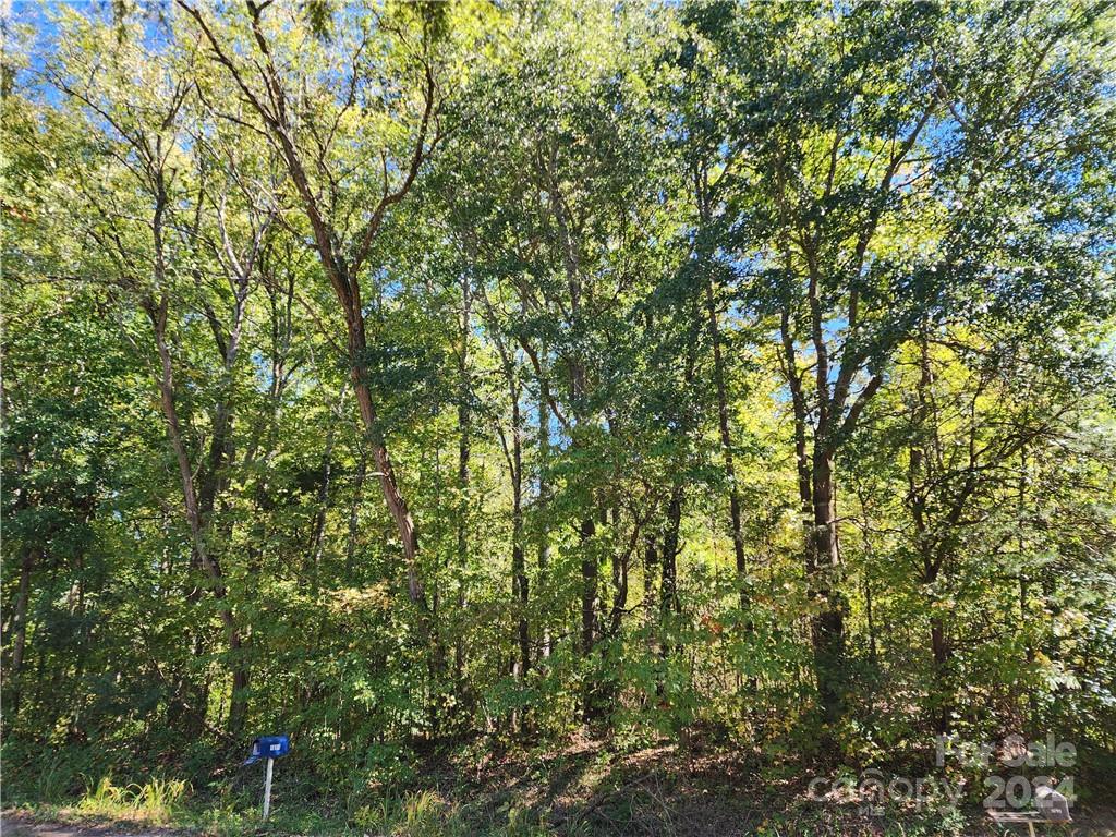 583 Roanoke Drive Property Photo 23