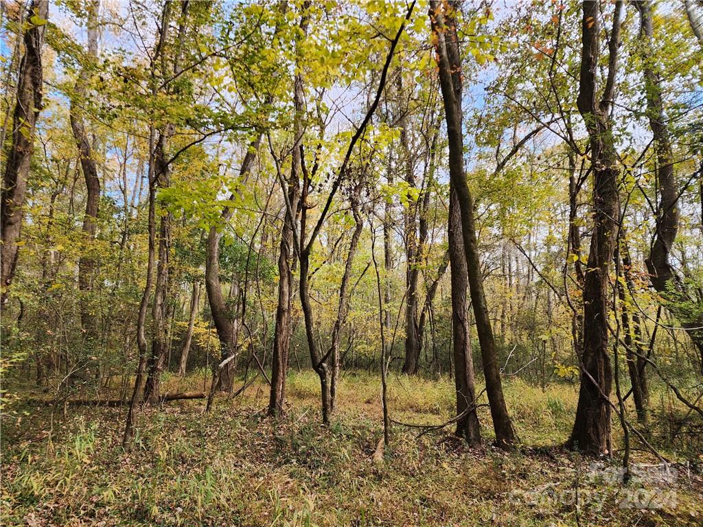 583 Roanoke Drive Property Photo 38