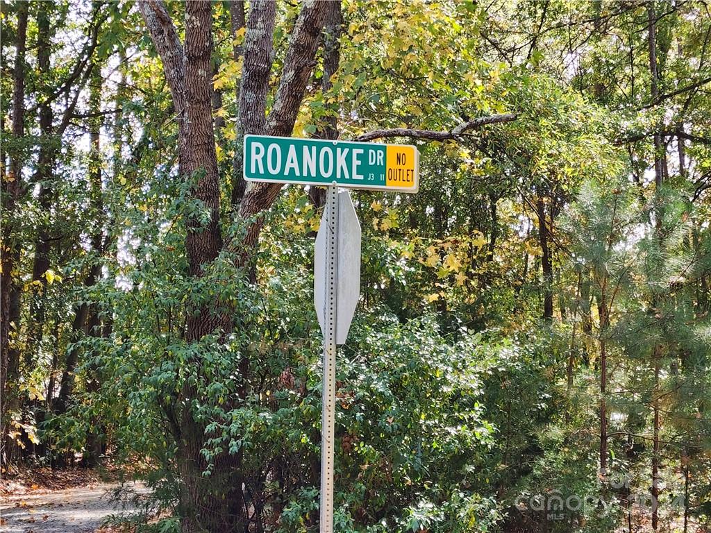 583 Roanoke Drive Property Photo 48