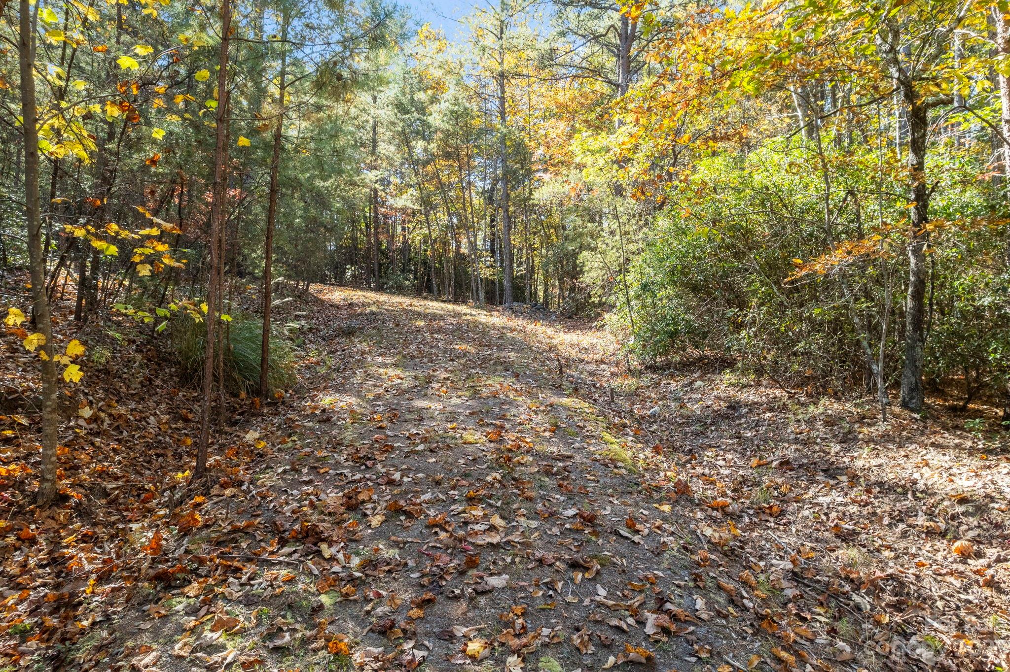 0 Birddog Boulevard Property Photo 32