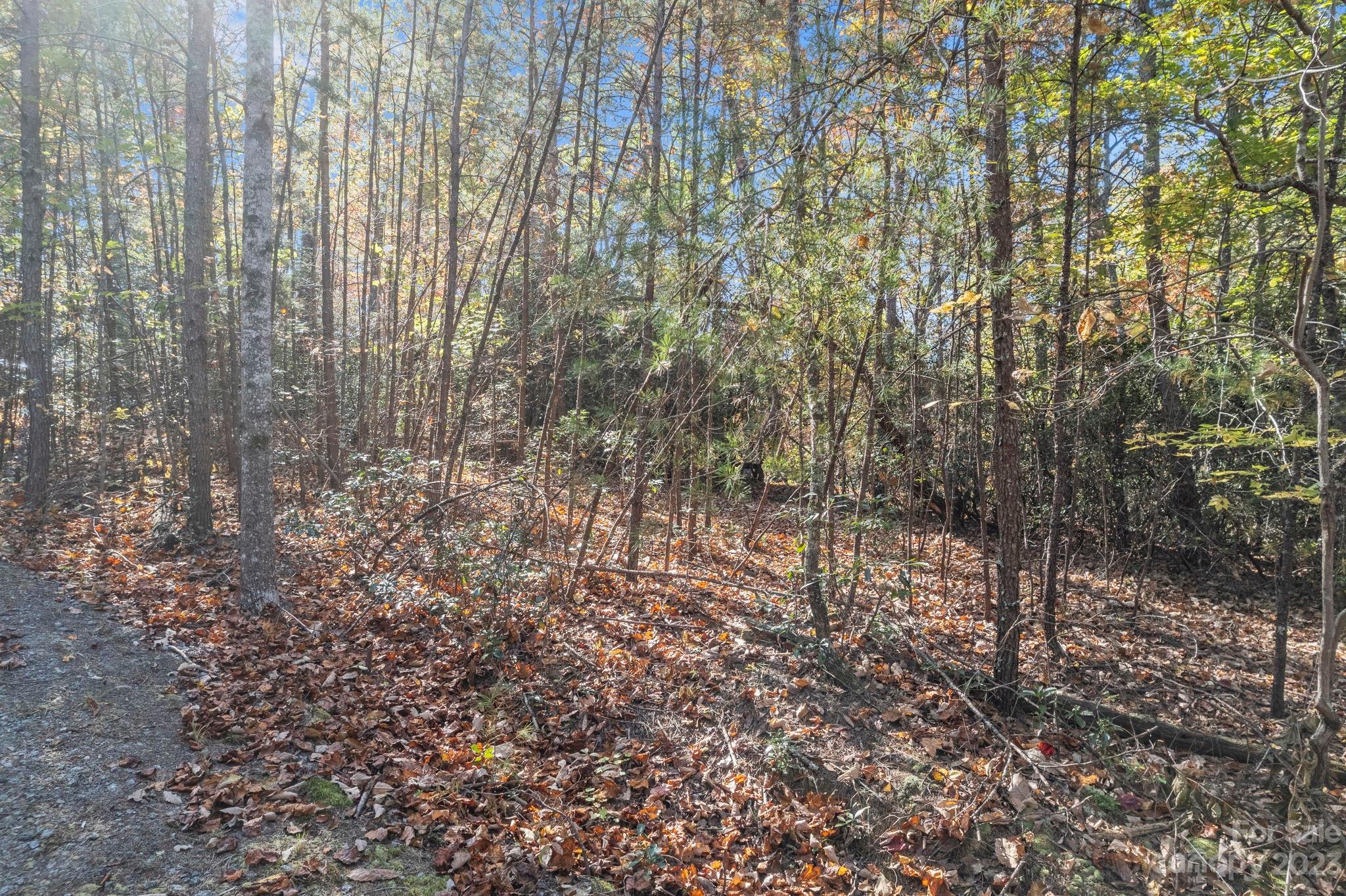 0 Birddog Boulevard Property Photo 36
