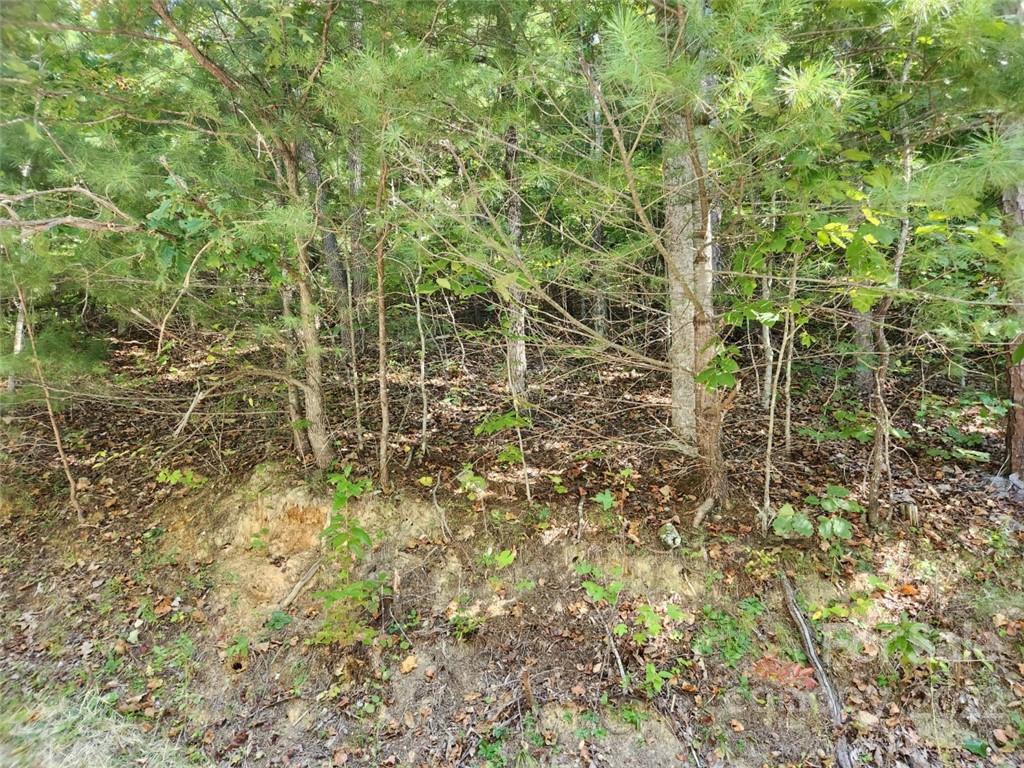 23 Overlook Park Drive 48 Property Photo 14