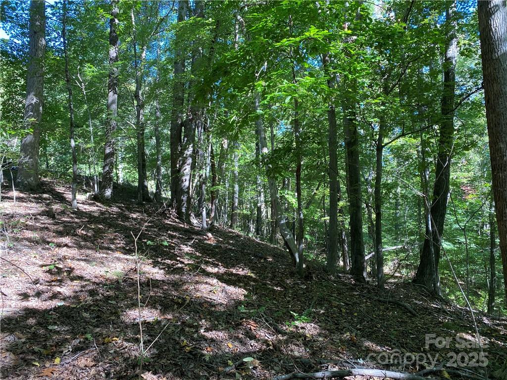 46 Holmstead Drive 46 Property Photo 18