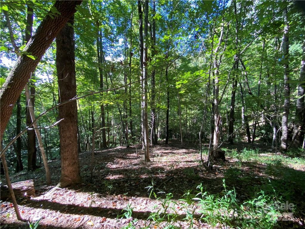 46 Holmstead Drive 46 Property Photo 21