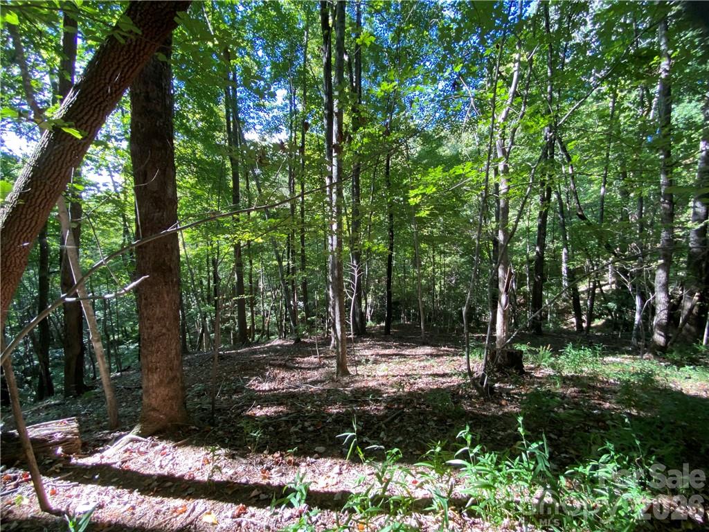 46 Holmstead Drive 46 Property Photo 21