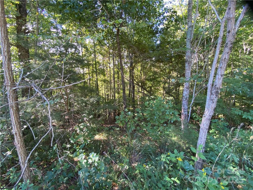 46 Holmstead Drive 46 Property Photo 22